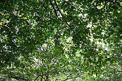 投入2500万欧元 谷歌承诺帮助欧洲民众提高人工智能技能