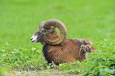 《英雄联盟》S12淘汰赛抽签结果出炉 JDG、RNG、EDG晋级八强